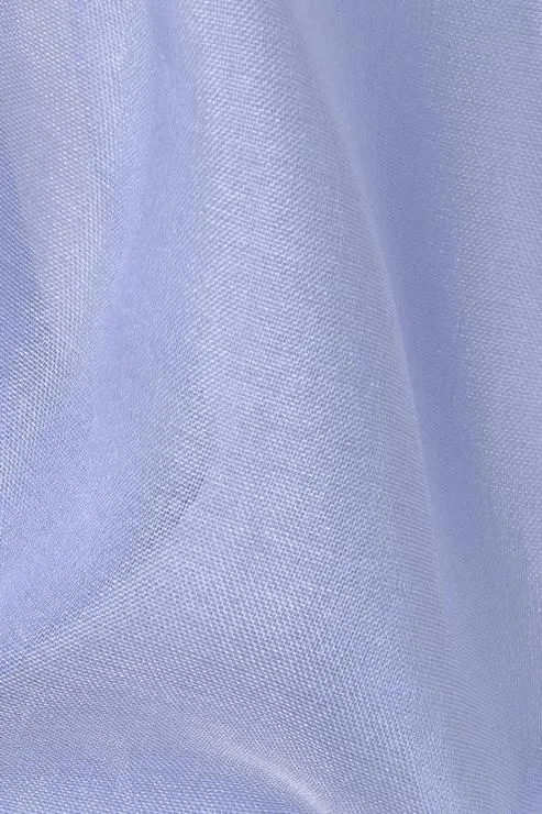 Powder Blue Silk Organza Fabric